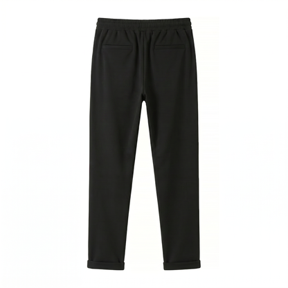 Renato Stretch Pants - back